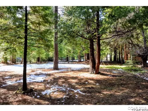 3471 Gardner Flat Rd, Dorrington, CA 95223 photo 4