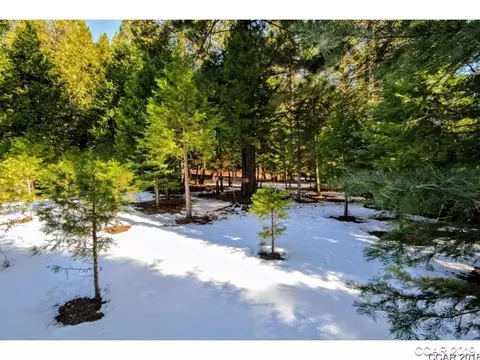3471 Gardner Flat Rd, Dorrington, CA 95223 photo 3