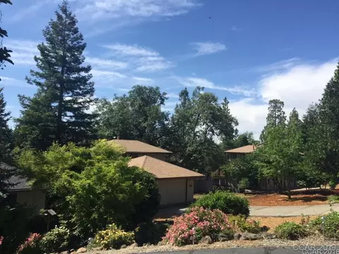 553 Forest Meadows Dr, Murphys, CA 95247 photo 1