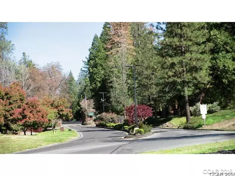 553 Forest Meadows Dr, Murphys, CA 95247 photo 6