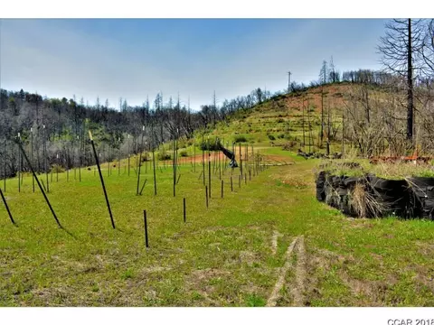 8080 W Murray Creek Rd, Mountain Ranch, CA 95246 photo 8
