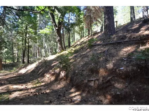 2730 El Dorado Dr, Arnold, CA 95223 photo 1