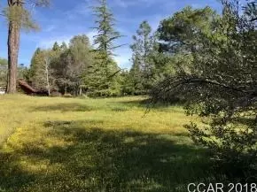 575 Sugarbush, Murphys, CA 95247 photo 3