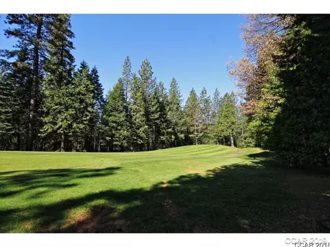 1332 Meadow Dr, Arnold, CA 95223 photo 1