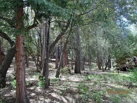 320 Snowberry Ct, Murphys, CA 95247 photo 2