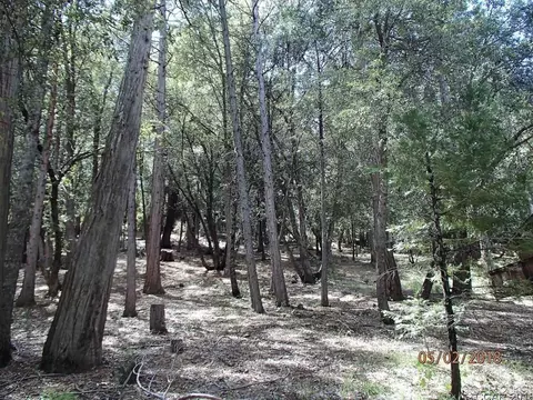 320 Snowberry Ct, Murphys, CA 95247 photo 3