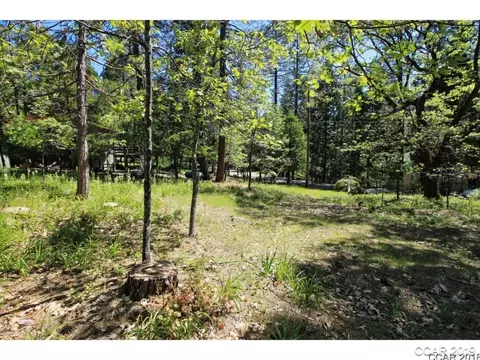 3034 Forest, Arnold, CA 95223 photo 4