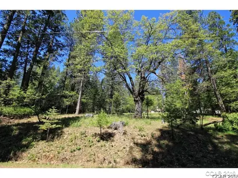3034 Forest, Arnold, CA 95223 photo 6