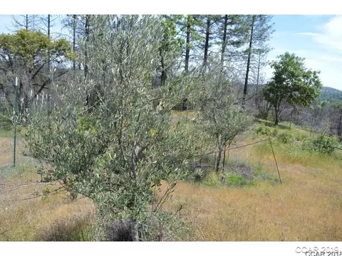 8853 E Murray, Mountain Ranch, CA 95246 photo 5