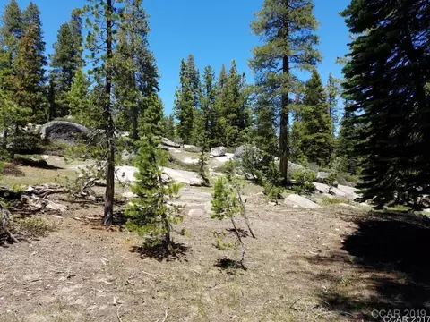 68 Orvis Rd, Bear Valley, CA 95223 photo 4