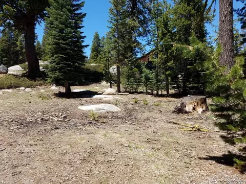 68 Orvis Rd, Bear Valley, CA 95223 photo 3
