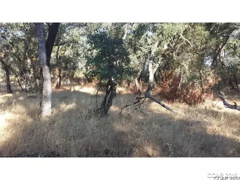 4897 Chuckwagon Dr, Copperopolis, CA 95228 photo 6