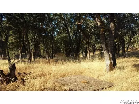 4897 Chuckwagon Dr, Copperopolis, CA 95228 photo 7