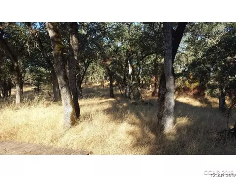 4897 Chuckwagon Dr, Copperopolis, CA 95228 photo 9