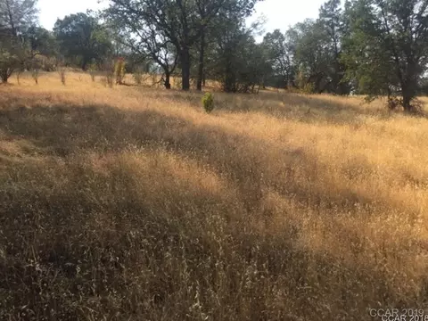 3134 Canoe St, Copperopolis, CA 95228 photo 5