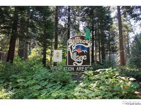 3193 Apache Rd, Dorrington, CA 95223 photo 6