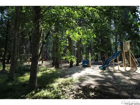 3193 Apache Rd, Dorrington, CA 95223 photo 8