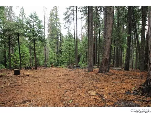 3193 Apache Rd, Dorrington, CA 95223 photo 3