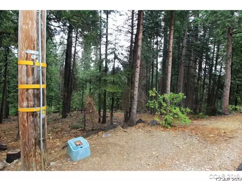 3193 Apache Rd, Dorrington, CA 95223 photo 4