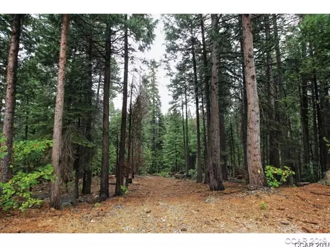 3193 Apache Rd, Dorrington, CA 95223 photo 1