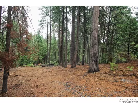 3193 Apache Rd, Dorrington, CA 95223 photo 2