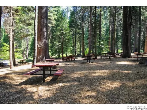 3193 Apache Rd, Dorrington, CA 95223 photo 10