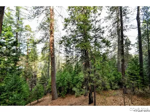 2598 Chamonix Dr, Arnold, CA 95223 photo 23