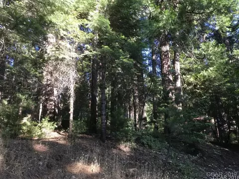 1121 Brae Burn Dr, Arnold, CA 95223 photo 1