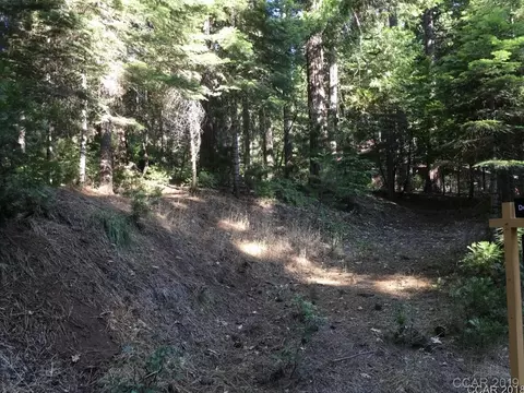 1121 Brae Burn Dr, Arnold, CA 95223 photo 5