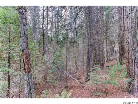 2558 Moran Rd, Arnold, CA 95223 photo 9
