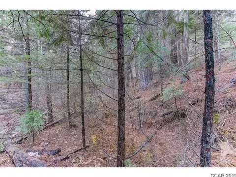 2558 Moran Rd, Arnold, CA 95223 photo 10