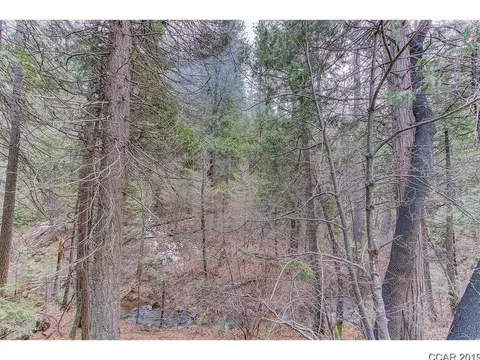 2558 Moran Rd, Arnold, CA 95223 photo 3