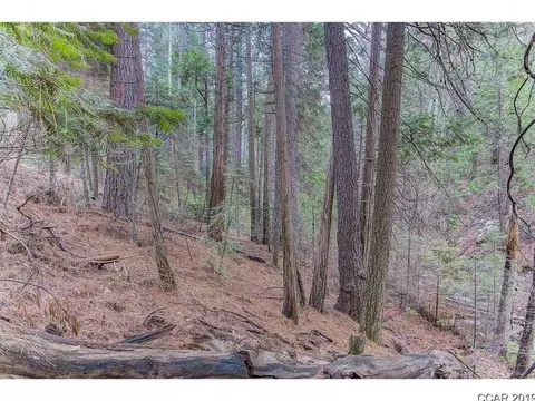 2558 Moran Rd, Arnold, CA 95223 photo 5