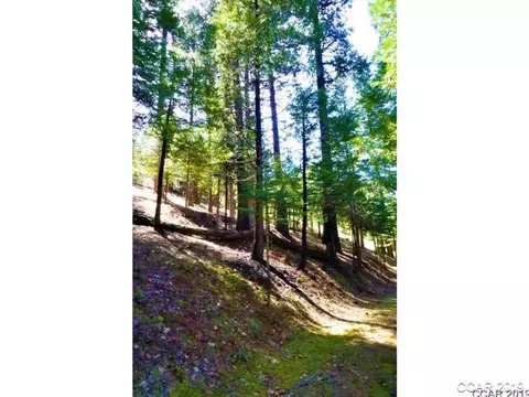 3263 Pine Lake Dr, Arnold, CA 95223 photo 3