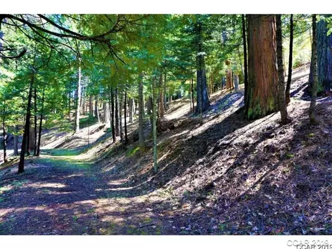 3263 Pine Lake Dr, Arnold, CA 95223 photo 5