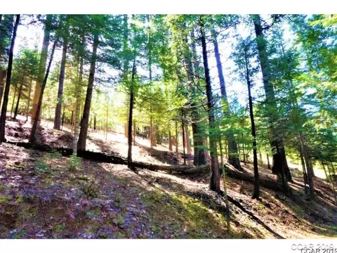 3263 Pine Lake Dr, Arnold, CA 95223 photo 4