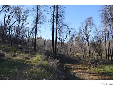 8326 Doster Rd, Mountain Ranch, CA 95246 photo 4