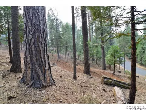 1636 Coniferous Dr, Arnold, CA 95223 photo 1