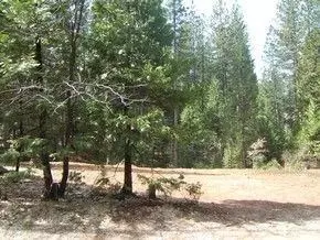2124 El Dorado Dr, Arnold, CA 95223 photo 1
