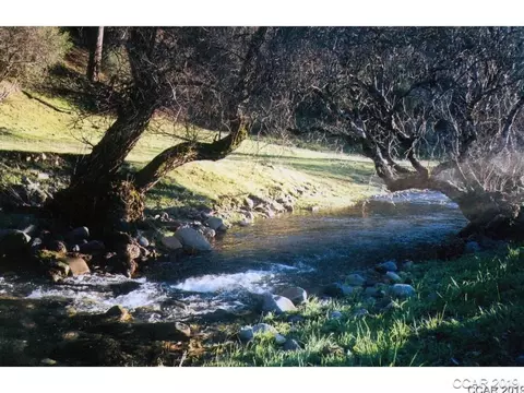 2800 Sheep Ranch Rd, Murphys, CA 95247 photo 7