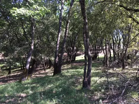 7897 Doster Rd, Mountain Ranch, CA 95246 photo 24