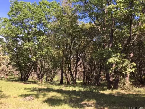 7897 Doster Rd, Mountain Ranch, CA 95246 photo 25