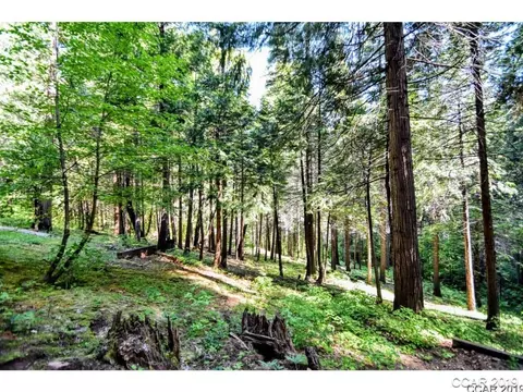 3282 Pine Lake Dr, Arnold, CA 95223 photo 28