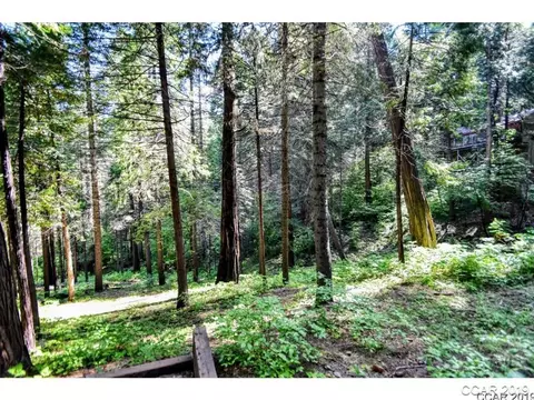 3282 Pine Lake Dr, Arnold, CA 95223 photo 29