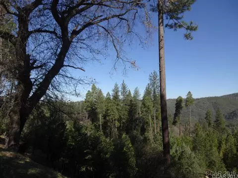 285 Snowberry Ct, Murphys, CA 95247 photo 4