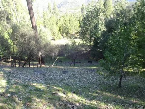 285 Snowberry Ct, Murphys, CA 95247 photo 1