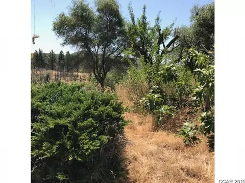 6190 Starlight Ln, Mountain Ranch, CA 95246 photo 10