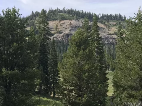 294 Schimke, Bear Valley, CA 95223 photo 6