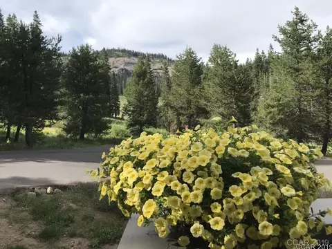 294 Schimke, Bear Valley, CA 95223 photo 4