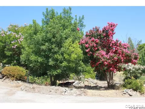 6508 Michel, Mountain Ranch, CA 95246 photo 7